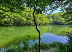 Traseul tematic Lacul Buhui din Anina