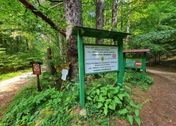 Traseul tematic Lacul Buhui din Anina