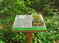 Traseul tematic Lacul Buhui din Anina