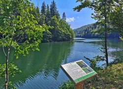 Traseul tematic Lacul Buhui din Anina