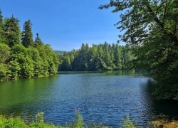Traseul tematic Lacul Buhui din Anina