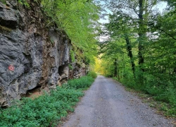 Cariera De Marmura din Moneasa