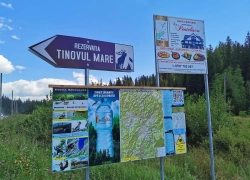 Rezervatia Tinovul Mare din Poiana Stampei