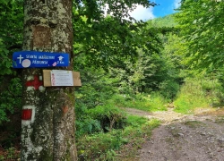 Schitul Patrunsa din jud Valcea