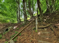 Schitul Patrunsa din jud Valcea