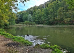 Lacul Vartoape din jud Caras-Severin