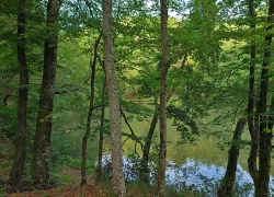 Lacul Vartoape din jud Caras-Severin