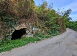 Galeria Melia din jud Caras-Severin