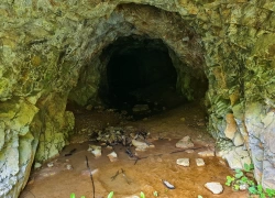 Galeria Melia din jud Caras-Severin