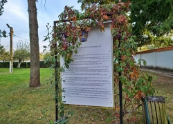 Manastirea Saraca din jud Timis