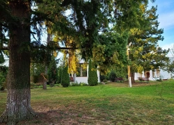 Manastirea Saraca din jud Timis