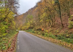 Pestera Romanesti din judetul Timis