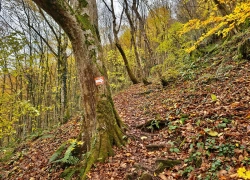 Pestera Romanesti din judetul Timis