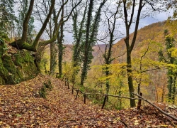 Pestera Romanesti din judetul Timis