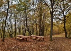 Pestera Romanesti din judetul Timis