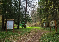 Cascada Susara din judetul Caras-Severin