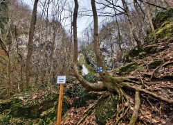 Cascada Susara din judetul Caras-Severin