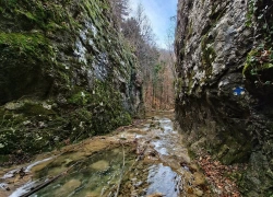 Cascada Susara din judetul Caras-Severin