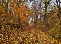 Lacul Mare si Lacul Mic din Dognecea