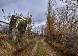 Lacul Mare si Lacul Mic din Dognecea
