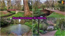 Parcul Dendrologic din Simeria