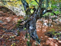 Casa Vulcanilor din judetul Hunedoara