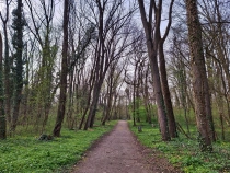 Parcul Dendrologic din Simeria