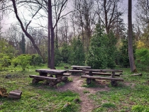 Parcul Dendrologic din Simeria