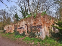 Parcul Dendrologic din Simeria