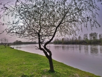 Parcul Dendrologic din Simeria