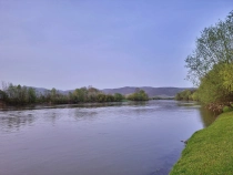 Parcul Dendrologic din Simeria