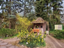 Parcul Dendrologic din Simeria