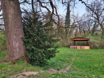 Parcul Dendrologic din Simeria