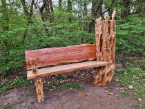 Parcul Dendrologic din Simeria