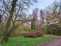 Parcul Dendrologic din Simeria