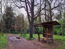 Parcul Dendrologic din Simeria