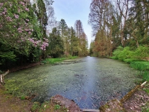 Parcul Dendrologic din Simeria