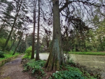 Parcul Dendrologic din Simeria