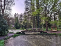 Parcul Dendrologic din Simeria