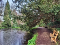 Parcul Dendrologic din Simeria