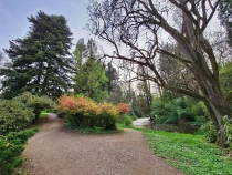 Parcul Dendrologic din Simeria