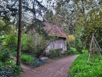 Parcul Dendrologic din Simeria