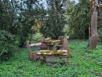 Parcul Dendrologic din Simeria