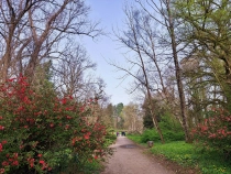 Parcul Dendrologic din Simeria