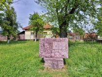Casa memoriala Constantin Brancusi