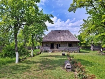 Casa memoriala Constantin Brancusi