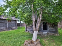 Casa memoriala Constantin Brancusi
