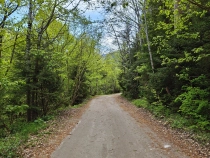 Cascada Lolaia din Muntii Retezat