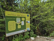 Cascada Lolaia din Muntii Retezat