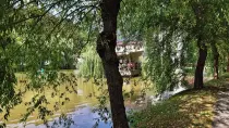 Statiunea Moneasa din judetul Arad